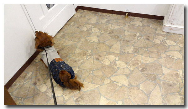 20130310165452.jpg