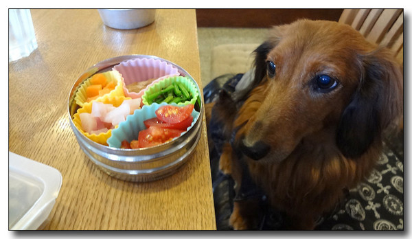 20130311091455.jpg