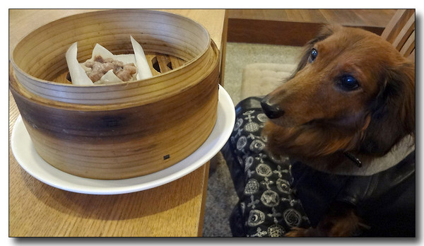 20130311091456.jpg