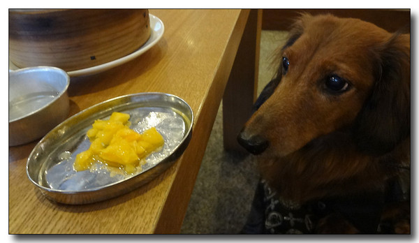 20130311091457.jpg