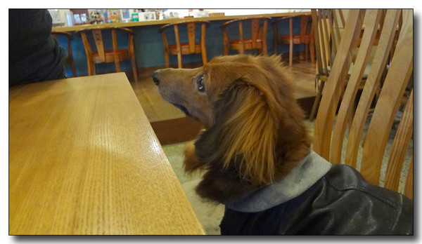 20130311091459.jpg