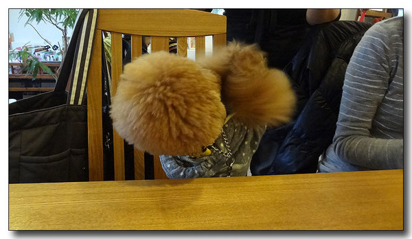 20130311091504.JPG