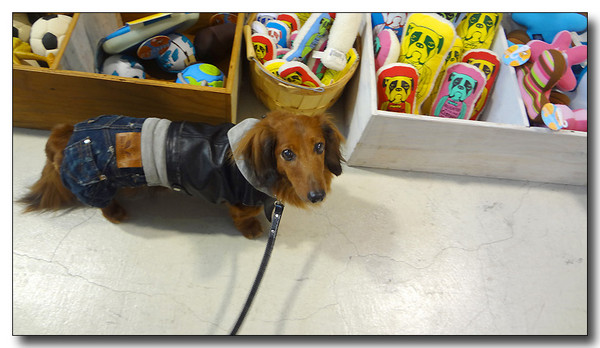 20130311091633.jpg