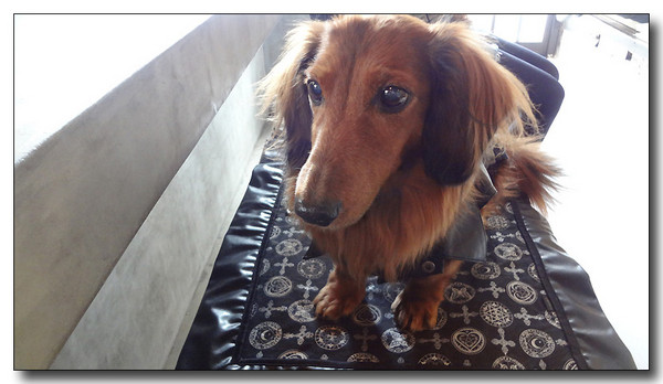 20130311105028.jpg