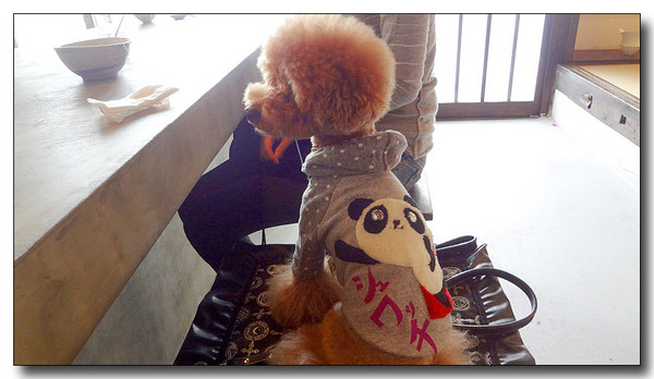 20130311105031.JPG