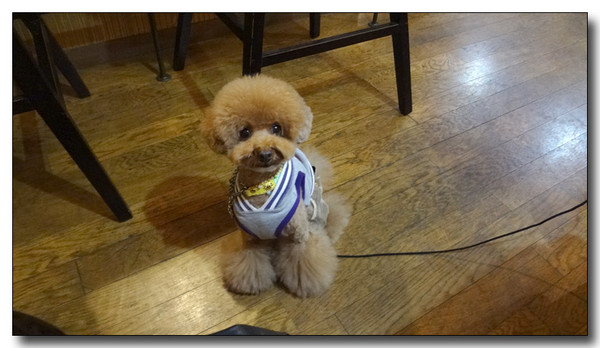 20130311202358.JPG