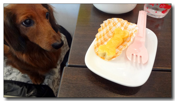 20130311222029.jpg