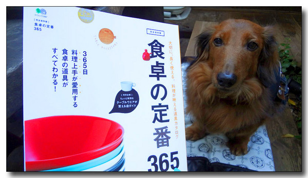 20130311223856.jpg