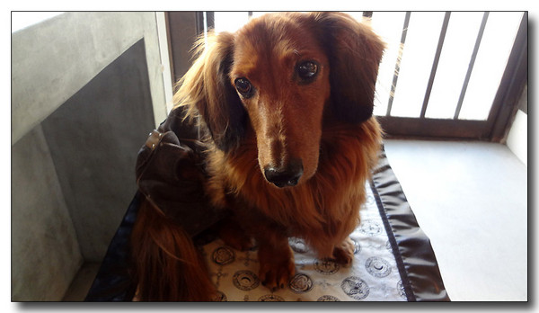 20130312093442.jpg