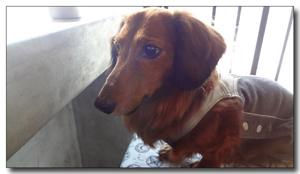 20130312093443.jpg