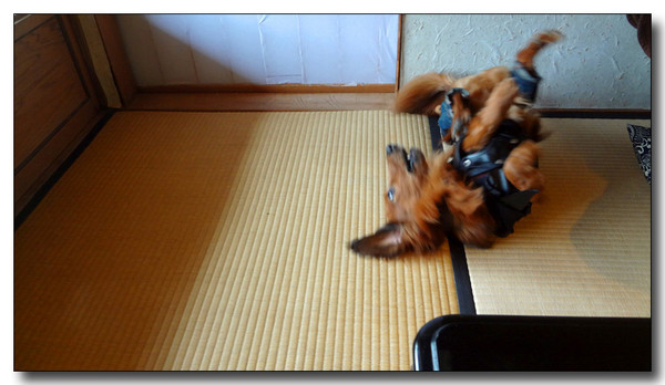 20130316070949.jpg