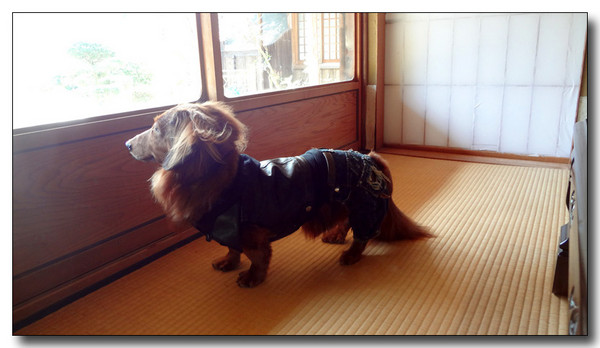 20130316070951.jpg