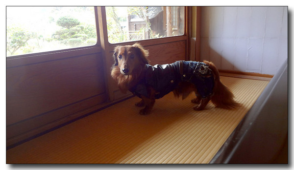20130316070952.jpg