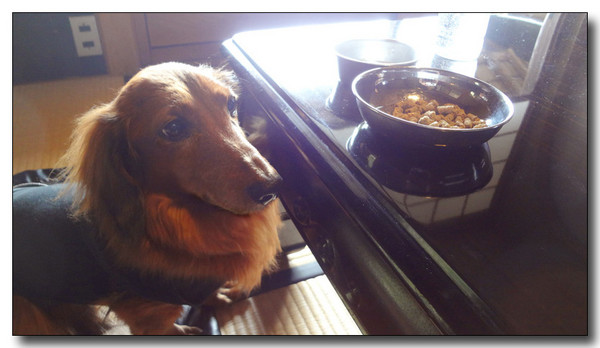 20130316070954.jpg