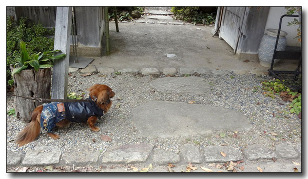 20130316070957.jpg