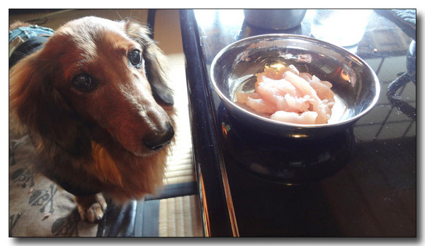 20130316072936.jpg