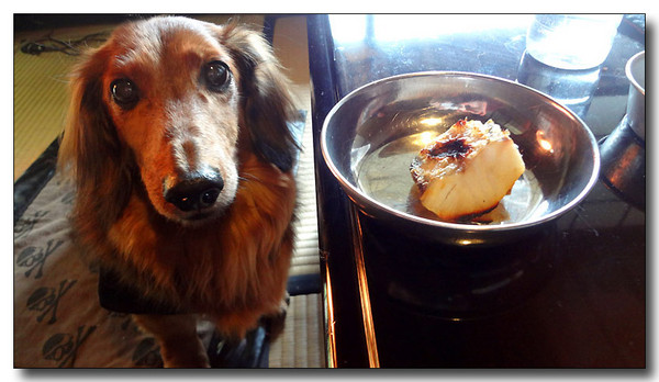 20130316072939.jpg
