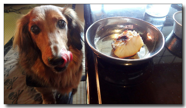 20130316072940.jpg