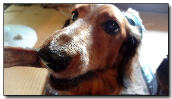 20130316072942.jpg