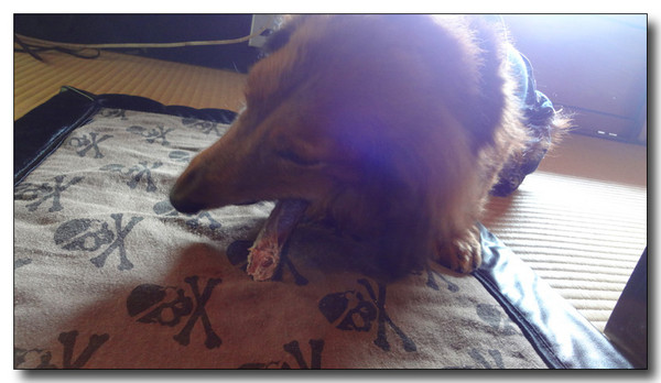 20130316080638.jpg