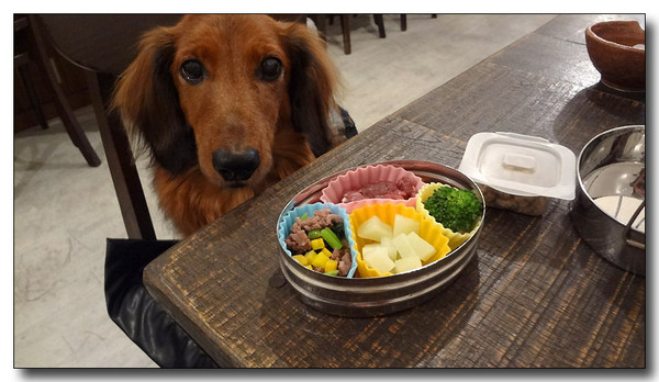 20130316190305.jpg