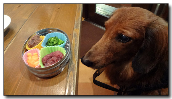 20130316220359.jpg