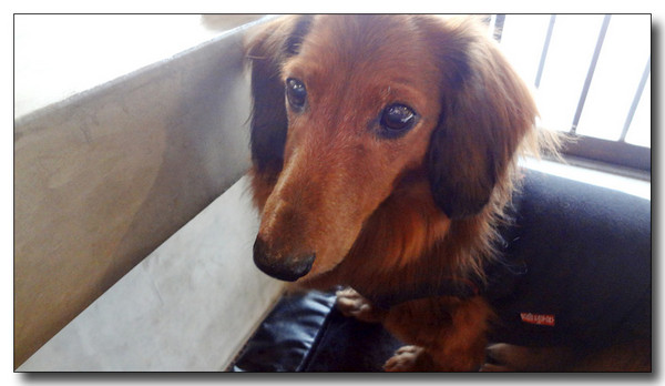 20130316221936.jpg