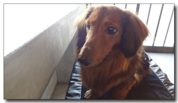 20130316221939.jpg