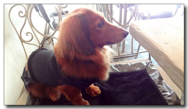 20130316222235.jpg