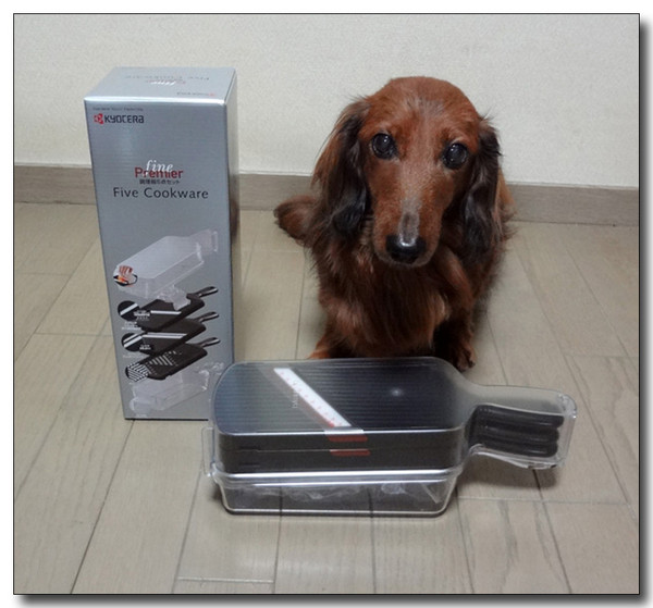 20130318121147.jpg
