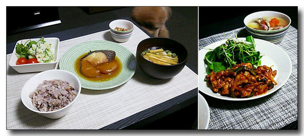 20130318121353.jpg