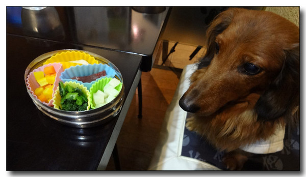 20130321093929.jpg