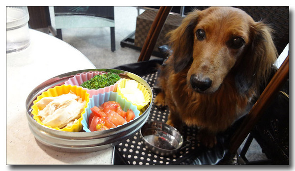 20130323111800.jpg