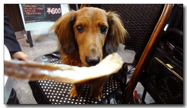 20130323111801.jpg