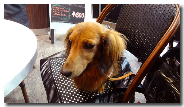 20130323111803.jpg