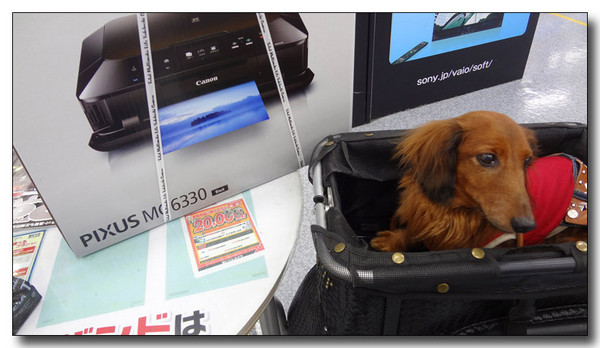 20130323112247.jpg