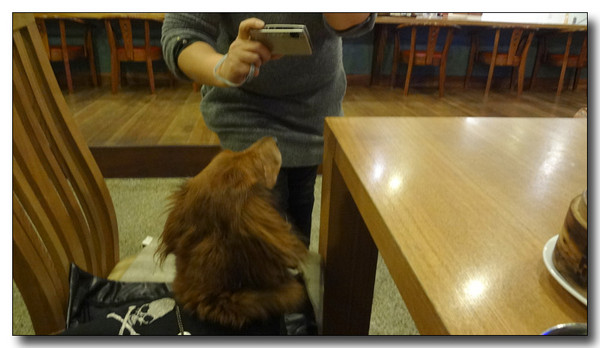 20130223174659.jpg