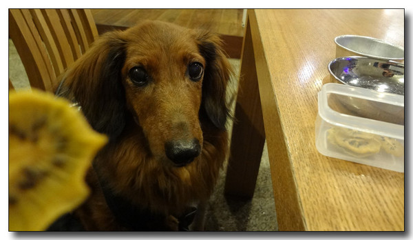 20130223174702.jpg