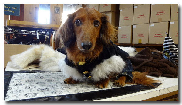 20130223231747.jpg
