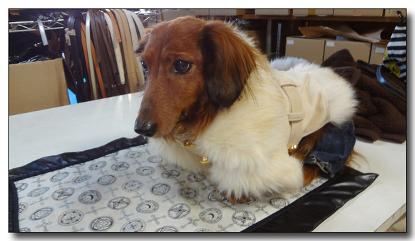 20130223232022.jpg
