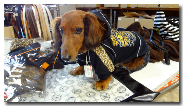 20130223233433.jpg