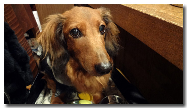 20130224002018.jpg