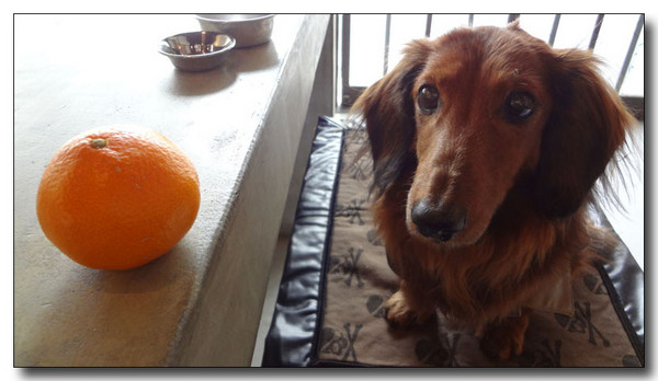 20130224211021.jpg