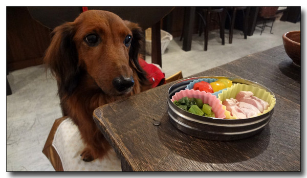 20130224233325.jpg