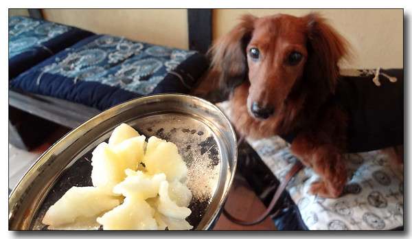 20130228122817.jpg