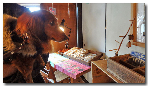20130228211522.jpg