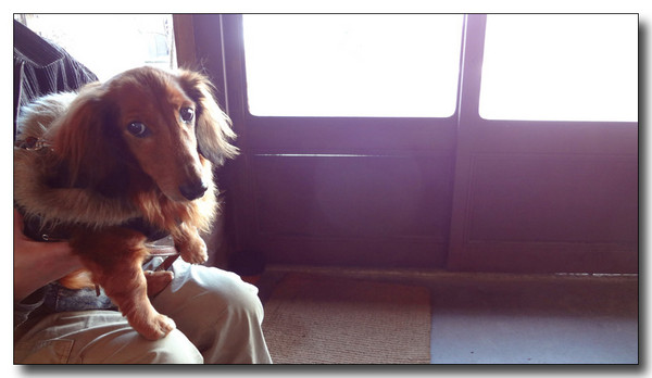 20130228233600.jpg
