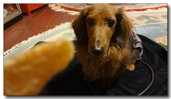 20130302232223.jpg