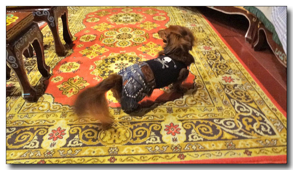 20130302235852.jpg