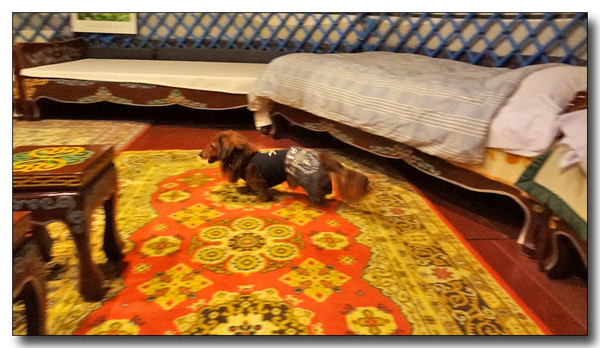 20130302235853.jpg